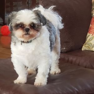 🚫 No lowball offers allowed.